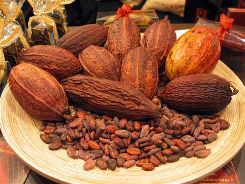 Cocoa Varieties 